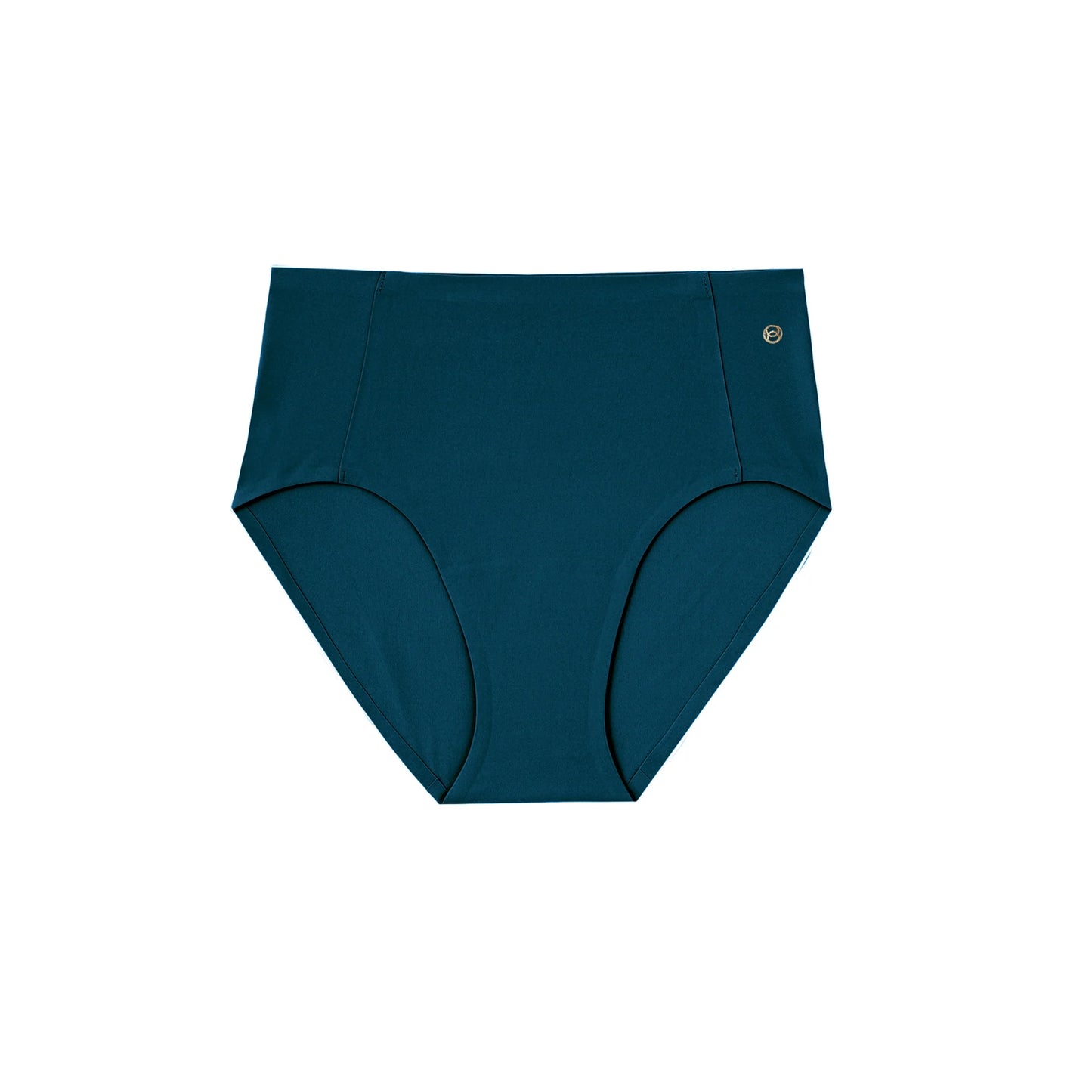 High-Waisted Retro Bikini